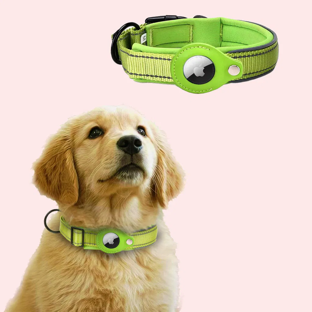 Coleiras de Pet Personalizadas e Exclusivas com Recurso de Rastreamento Airtag