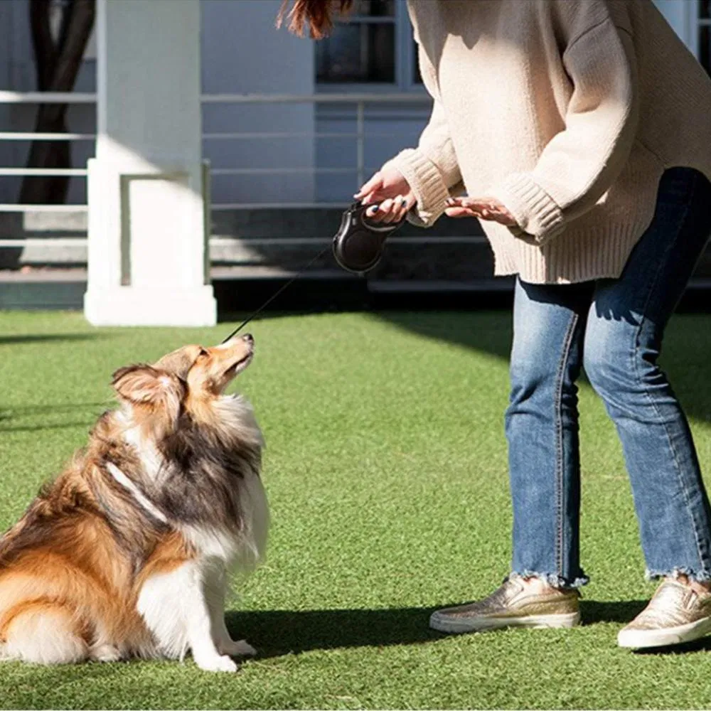 Coleira e Guia Retrátil Clássica Laranja para Cães