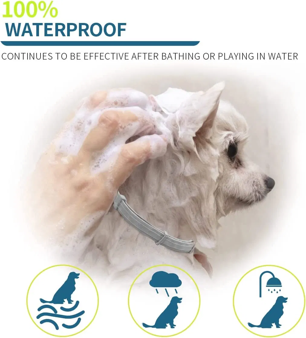 Coleira Antipulgas para Cães, Ajustável e Impermeável, Coleira de Tratamento Antipulgas e Carrapatos com Alta Avaliação, Atacado 4/6/8 Meses de Proteção