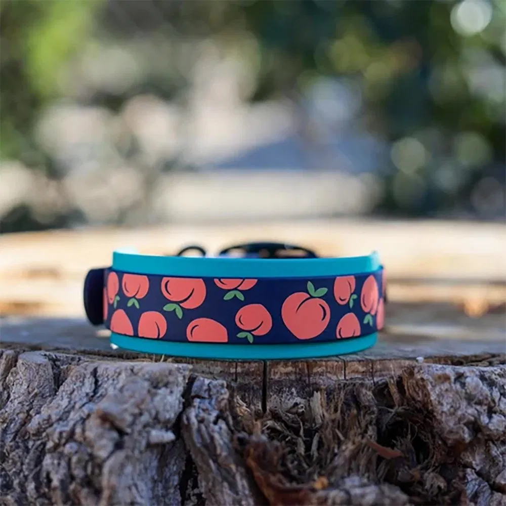 Coleira de Cachorro Personalizada com Impressão em Transferência Térmica Material PVC à Prova d'Água para Animais de Estimação Estilosos e Fashionáveis