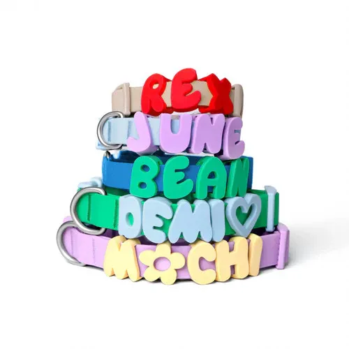 Coleira de Cachorro Personalizada 6