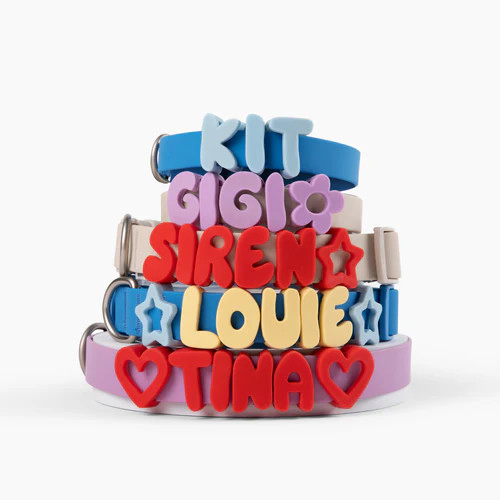 Coleira de Cachorro Personalizada à Prova d'Água com Charms
