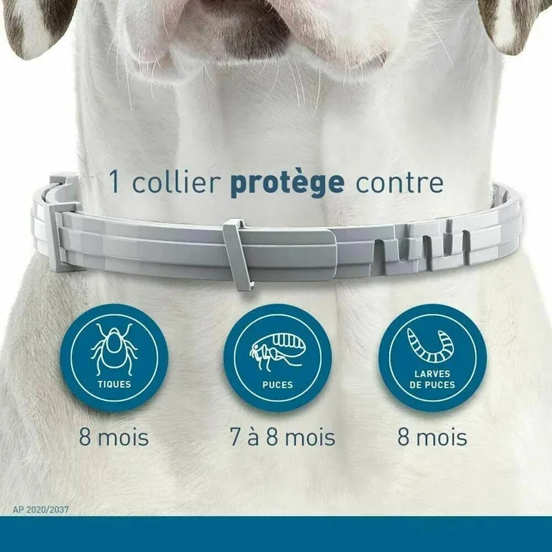 Coleira Retráteis para Filhotes e Gatos Grandes Acessórios