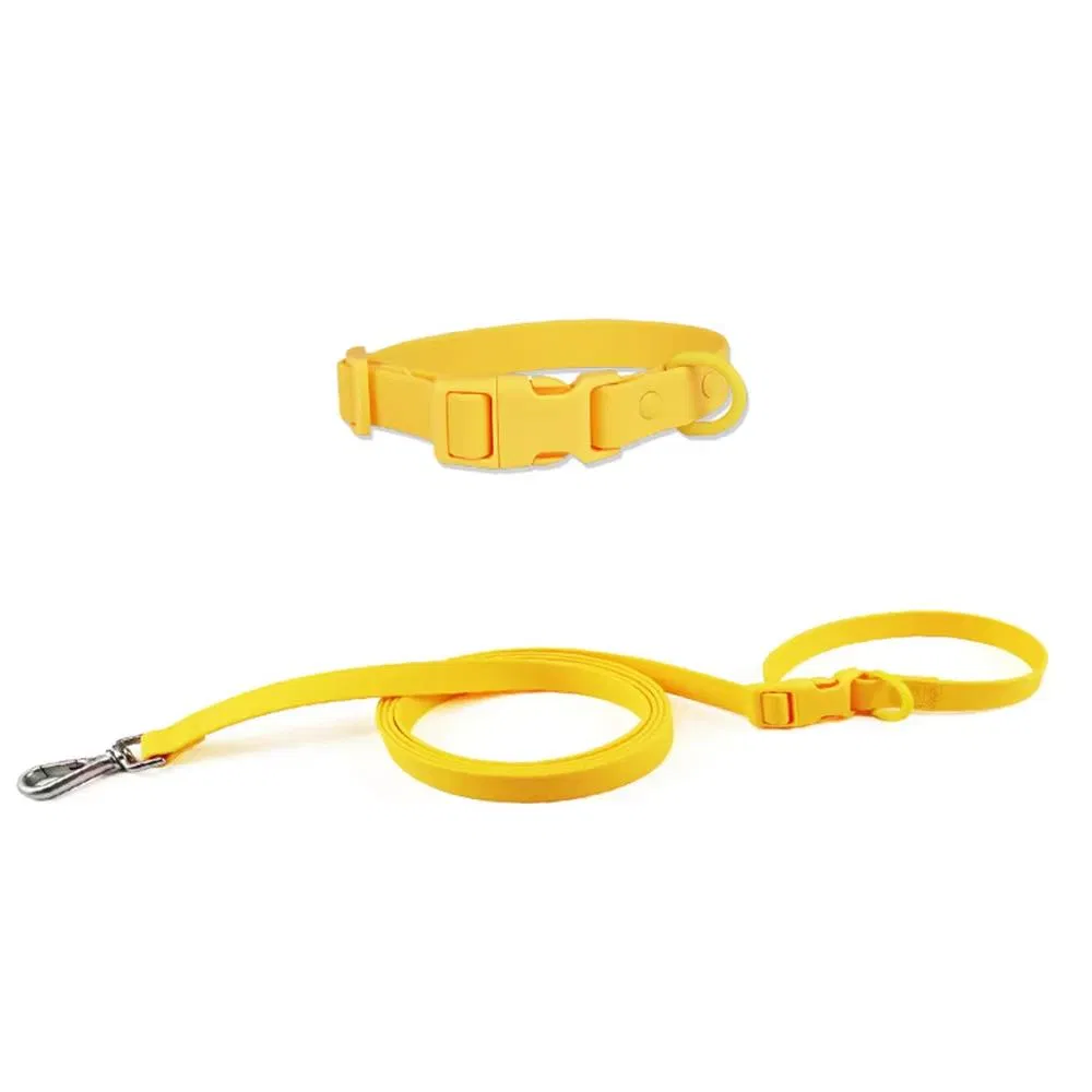 Conjunto de guia e arnês