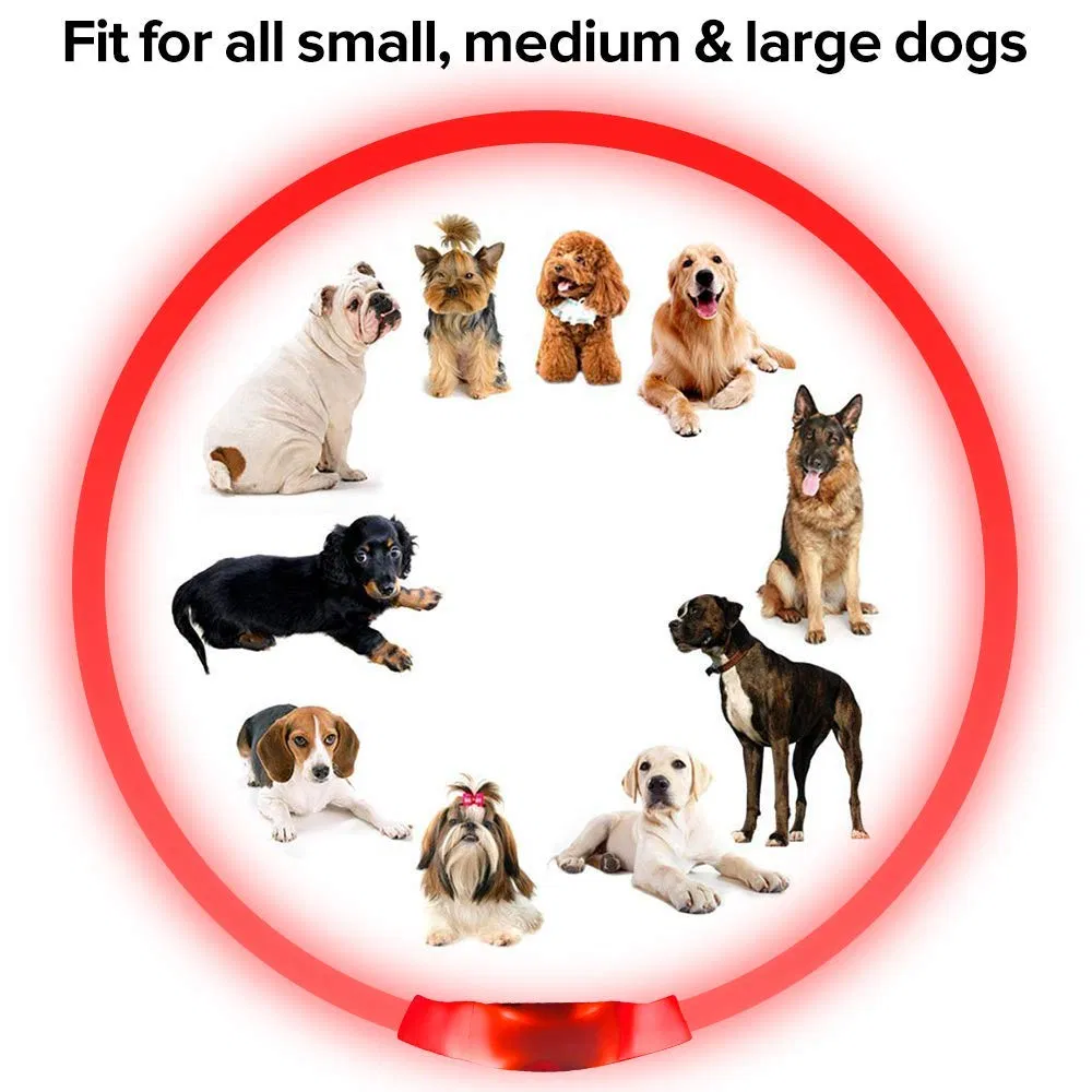 Colar de Cão Personalizado em TPU com LED, Tamanhos P, M e G, Recarregável por USB, Fácil de Cortar