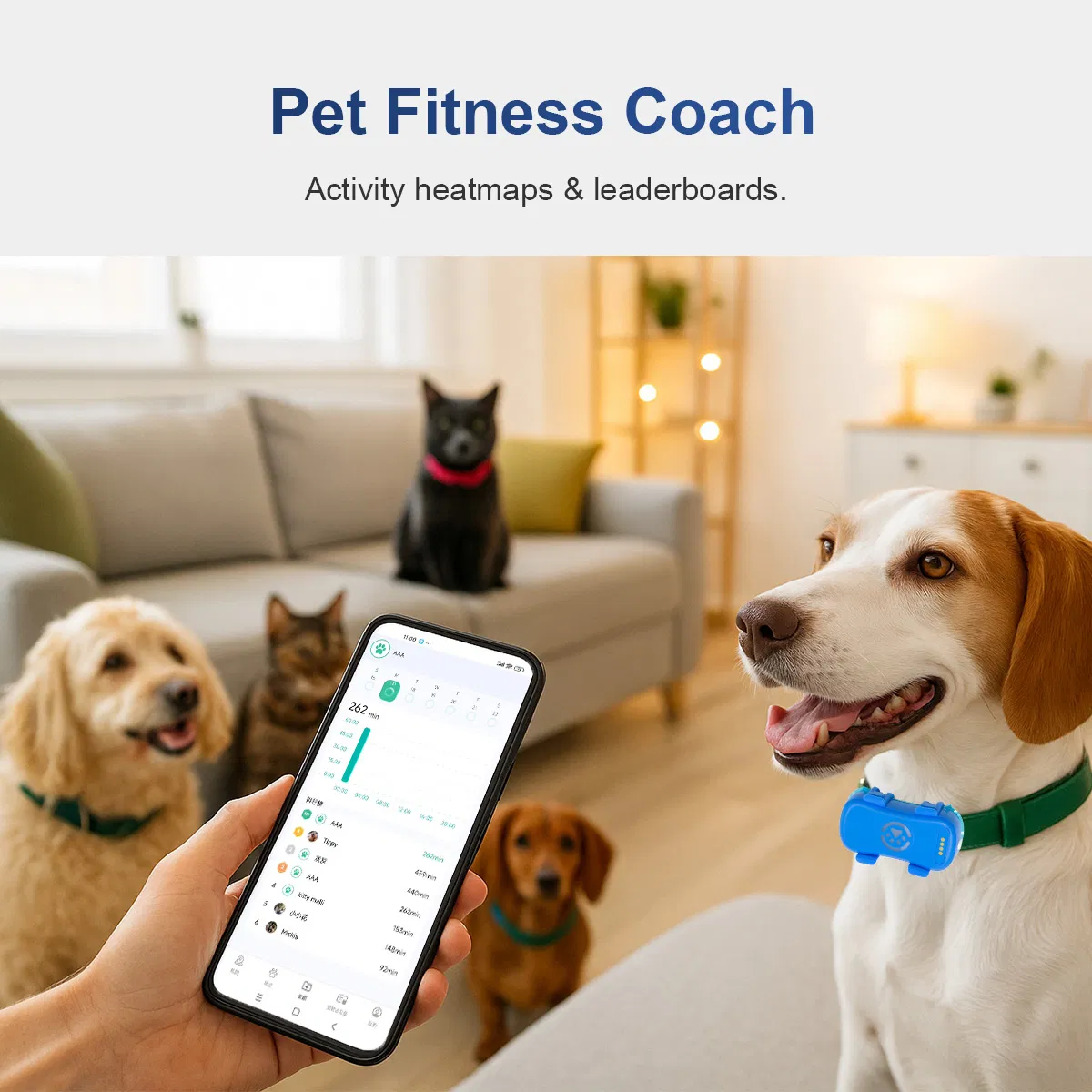 Dispositivo de rastreamento mini para animais de estimação OEM, com modo de sono, monitor de saúde, WiFi, Bluetooth e GPS, coleira para pets ao ar livre