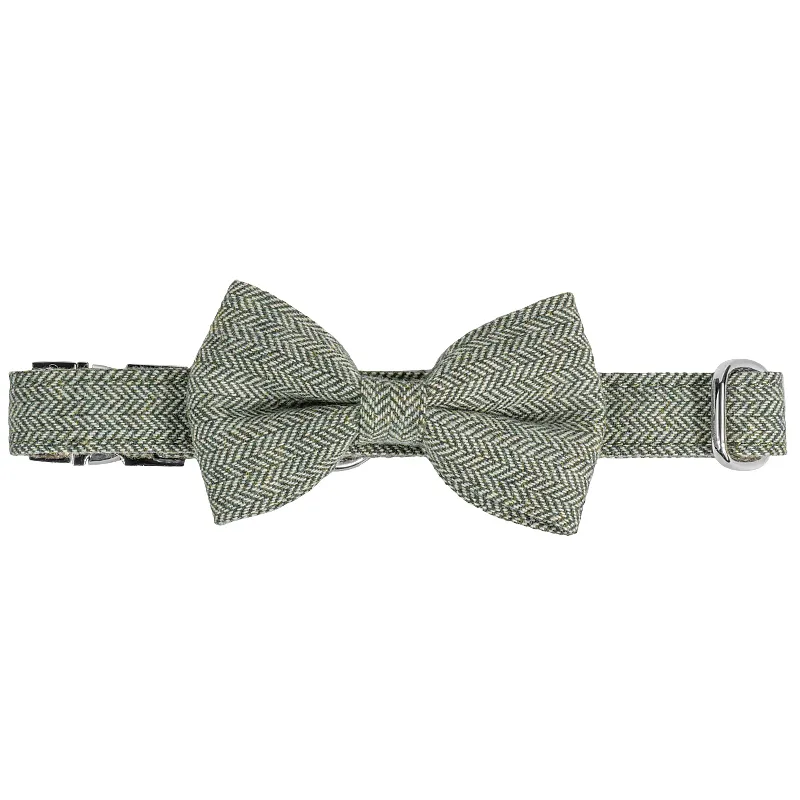 Designer de Moda para Animais Laser Logo na Fivela Cor Twill Cinza Nylon Cinta para Coleira de Cachorro Médio