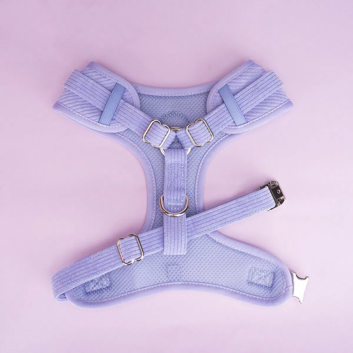 Coleiras de Nylon Ajustáveis Personalizadas Acessórios para Animais de Estimação Treinamento de Guias para Animais de Estimação Coleira para Cães