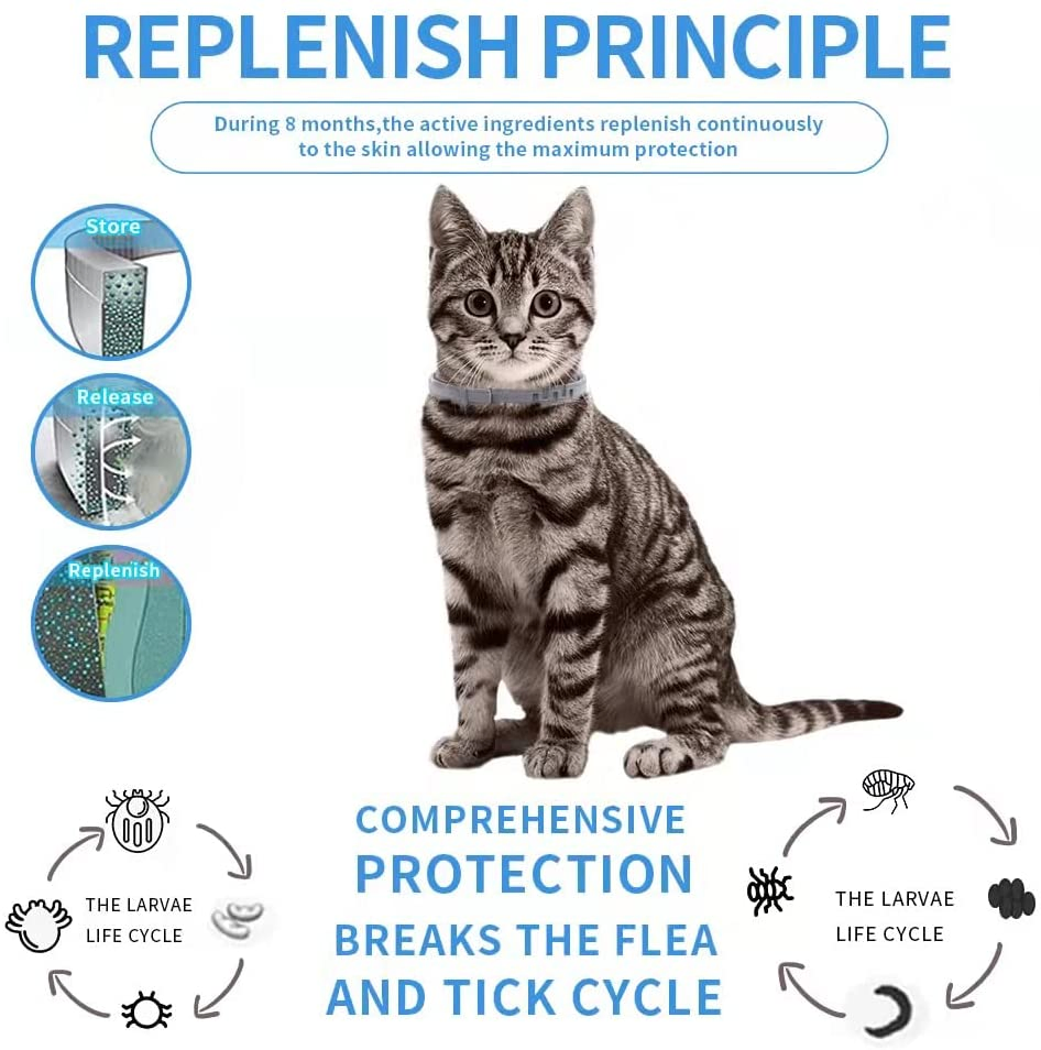 Tratamento Natural para Pulgas de Gato, Coleira Ajustável para Pulgas e Carrapatos, Proteção contra Pulgas por 6 Meses, Vendas Diretas de Fábrica