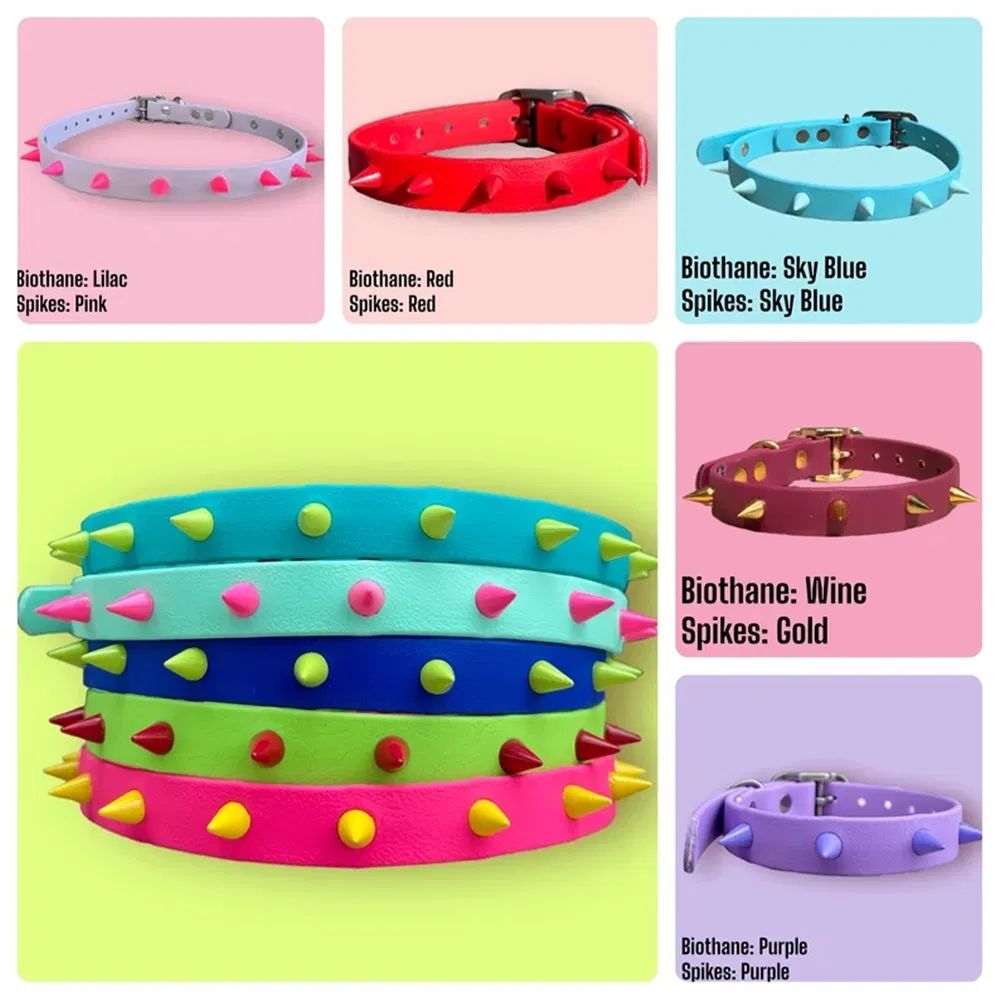 Durable Stylish Customizable Eco-Friendly Spiked Dog Collar