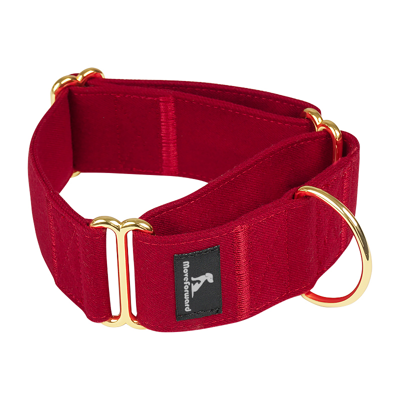 Coleira de Cão Durável de Metal Premium Ajustável em Material de Fleece com Logo Personalizado da Petisland para Treinamento de Produtos Atacadistas