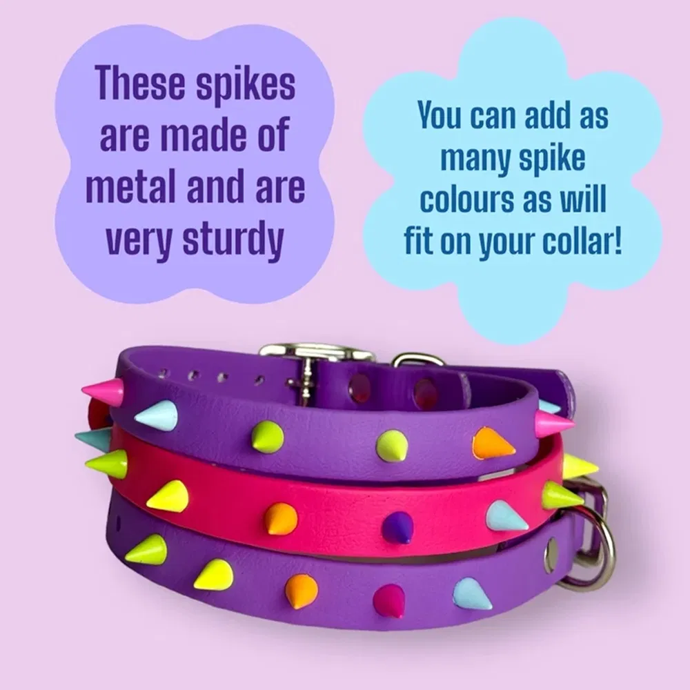 Durable Stylish Customizable Eco-Friendly Spiked Dog Collar Details