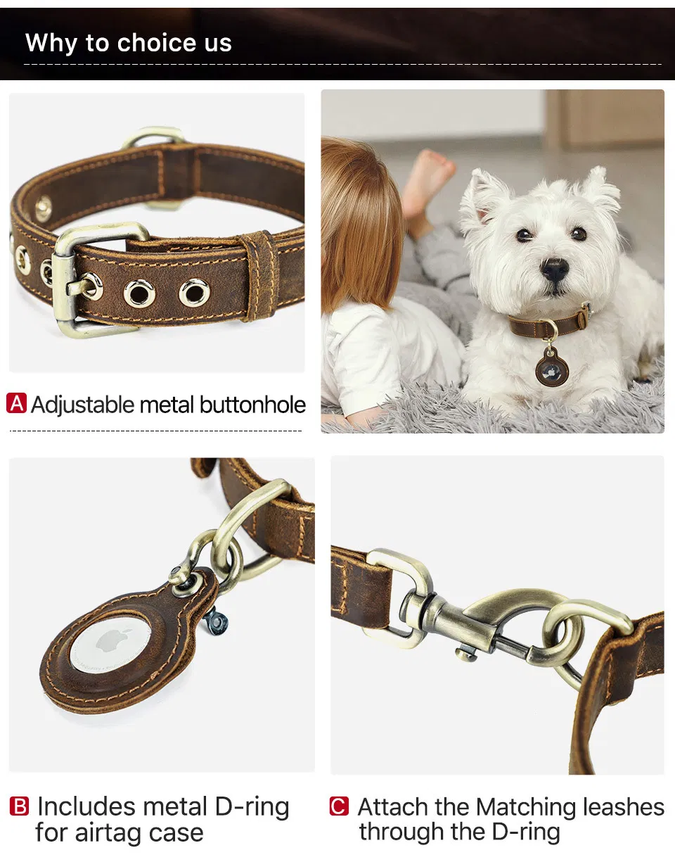 Ga180 Coleira de Cão Personalizada DIY Luxuosa Grande Pequena com Metal para Sublimação, Fivela de GPS, Couro, Tática, Personalizada, Impermeável