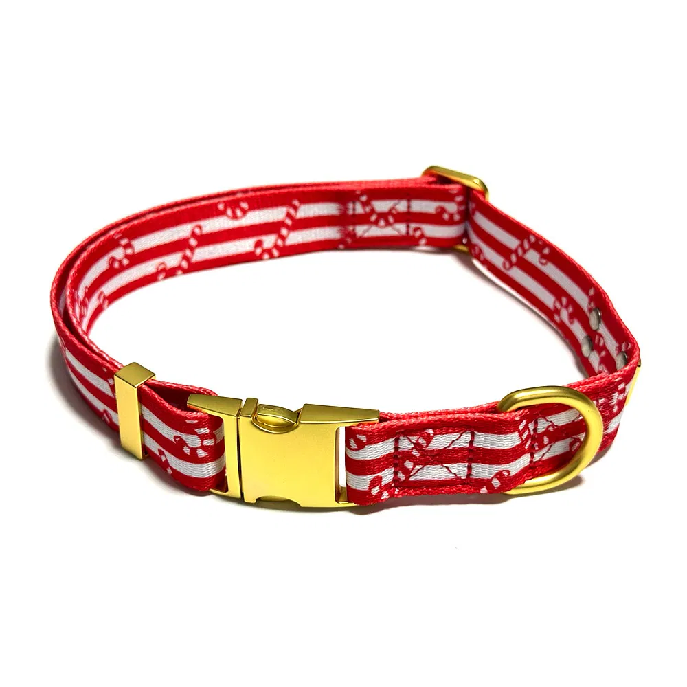 Coleira para cachorro personalizada de luxo, designer, macia, ajustável, confortável, moda, com fecho rápido em metal dourado e logotipo