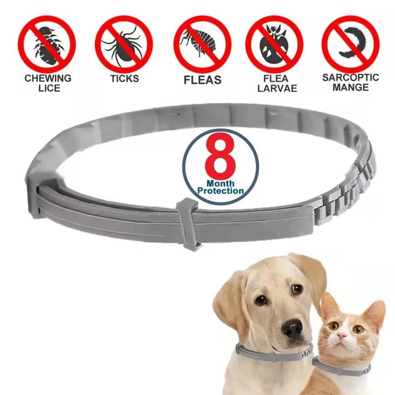 Coleira Antipulgas e Carrapatos para Cães e Gatos 8 Meses de Proteção Coleiras Retráteis para Filhotes e Gatos Grandes Acessórios para Cães
