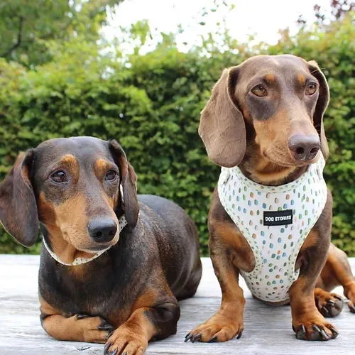 Production Detail 13