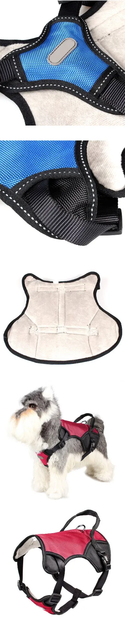 Pet Harness Display 3