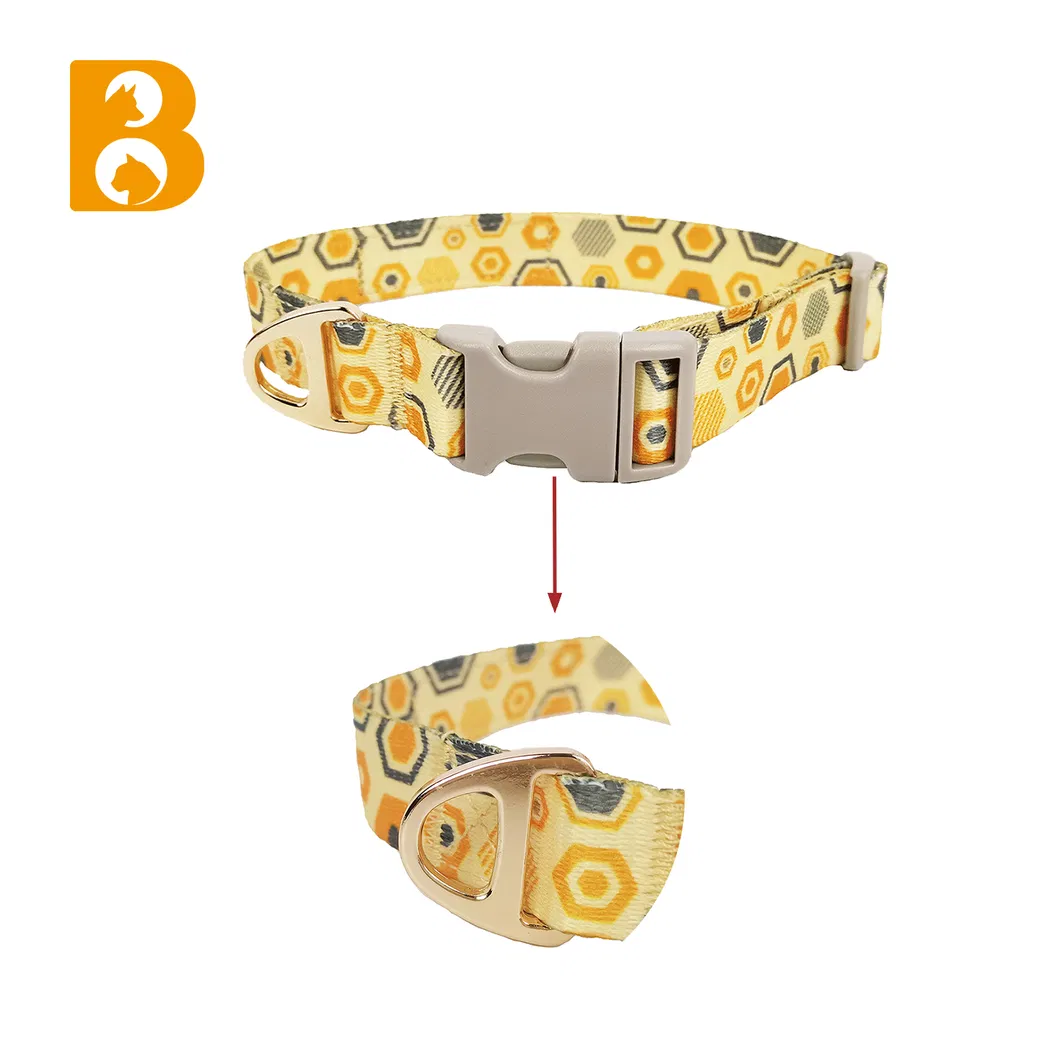 Sport Dog Harness Featured