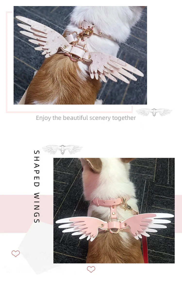 Personalized Designer Collar