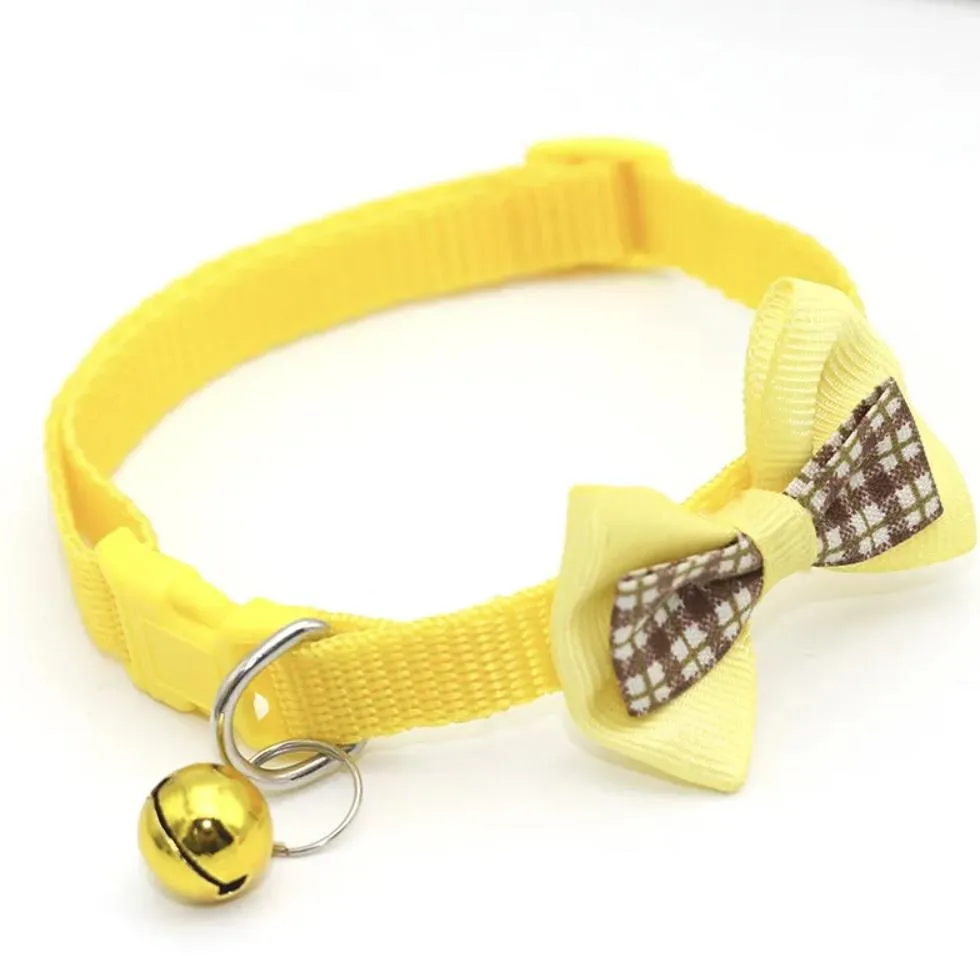 Cat Collar Display 2