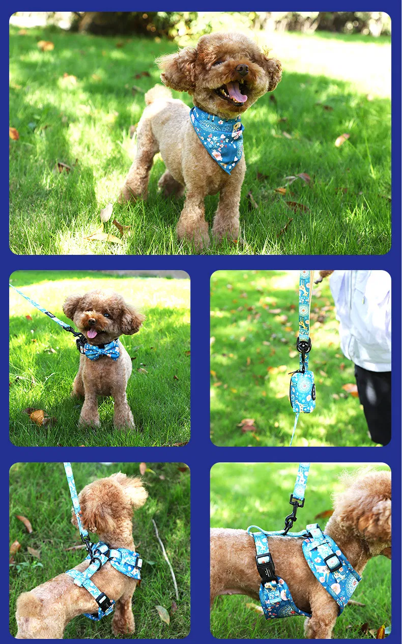 Dog Harness Detail 23