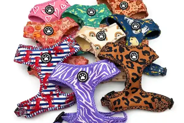 CT Free Dog Harness Samples