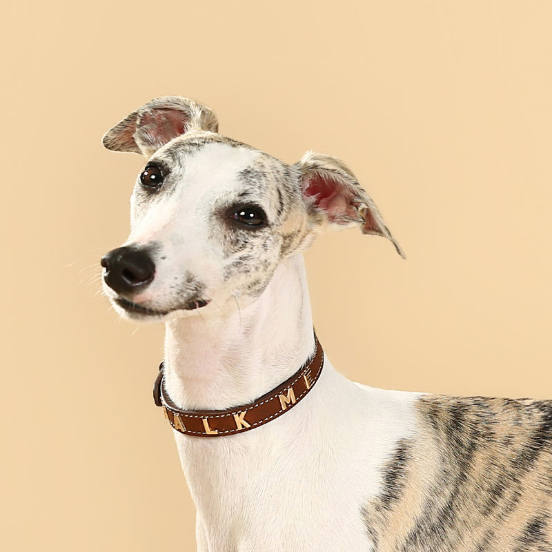 Luxury PU Leather Pet Collar Custom Colors Softly Genuine Leather Dog Collar