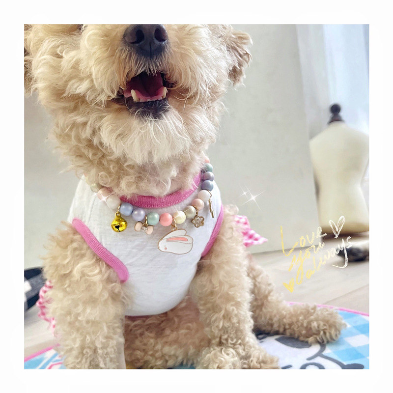 Pet Necklace Spring Color Pearl Bell Collar Teddy Schnauzer Cat Accessories