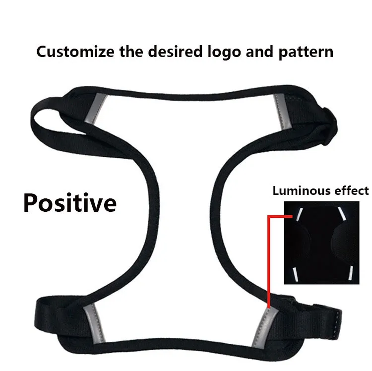 Dog Harness Parameters 4