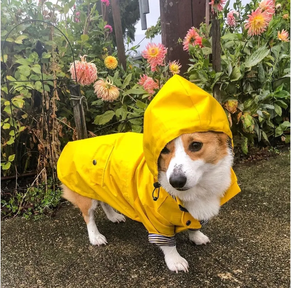 Waterproof Dog Coat