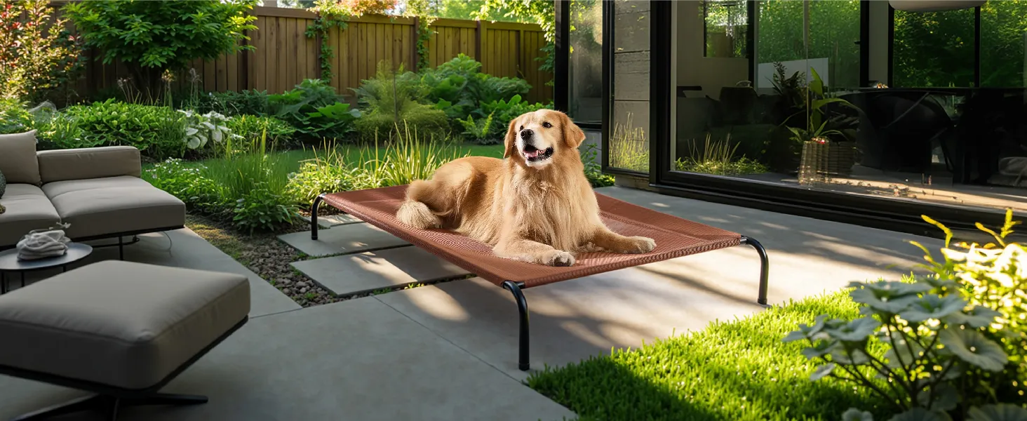 Elevated Dog Bed 3