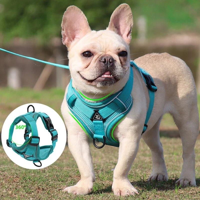 Adjustable Double-Sided Reflective Polyester Mesh Pet Harness Vest and Leash Set
