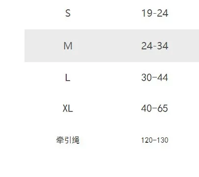 Size Chart Measurement