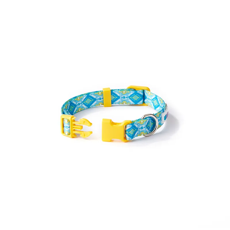 Pet Collar Color 3