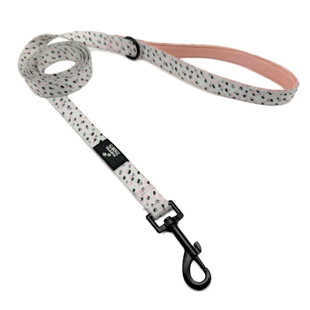 Personalized Dog Collars with Custom Screen Printed Designs for Unique Pets