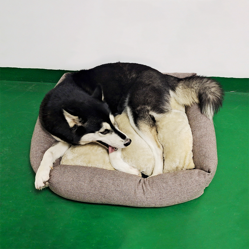 Petisland Pet Bed Wholesale Dog Beds Custom Soft Washable Cushion Cat Pet Beds Eco Friendly Sofa Luxury Dog Bed