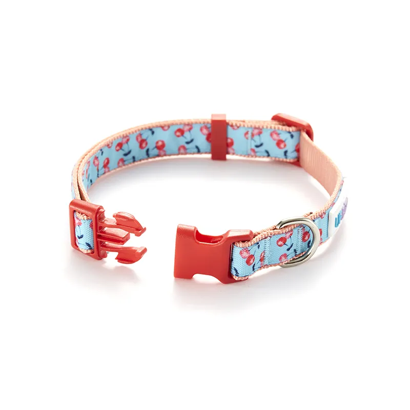 Portable release buckle