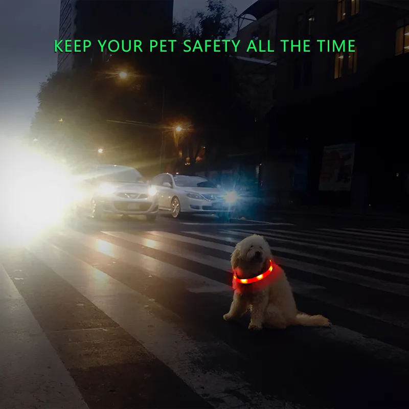 Pet Glowing Accessories 6