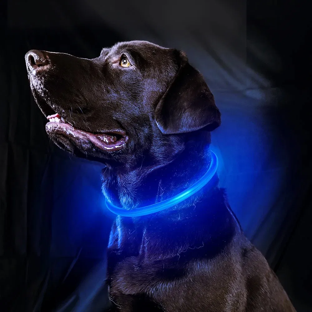 LED Luminous Collar 7
