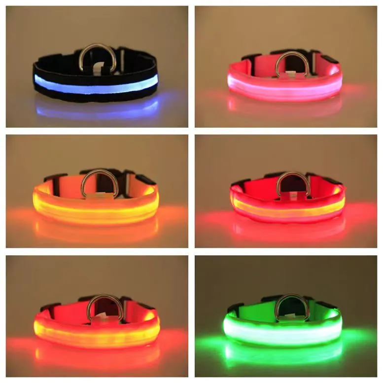 LED Collar Detail 4