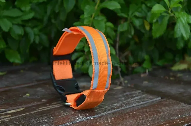 LED Pet Collar
