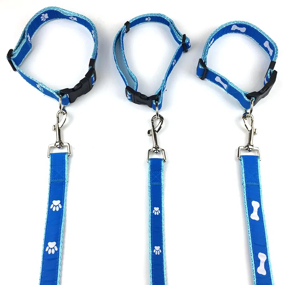 Hot Sale High Quality Custom Polyester Nylon Pet Dog Leash&Collar Set