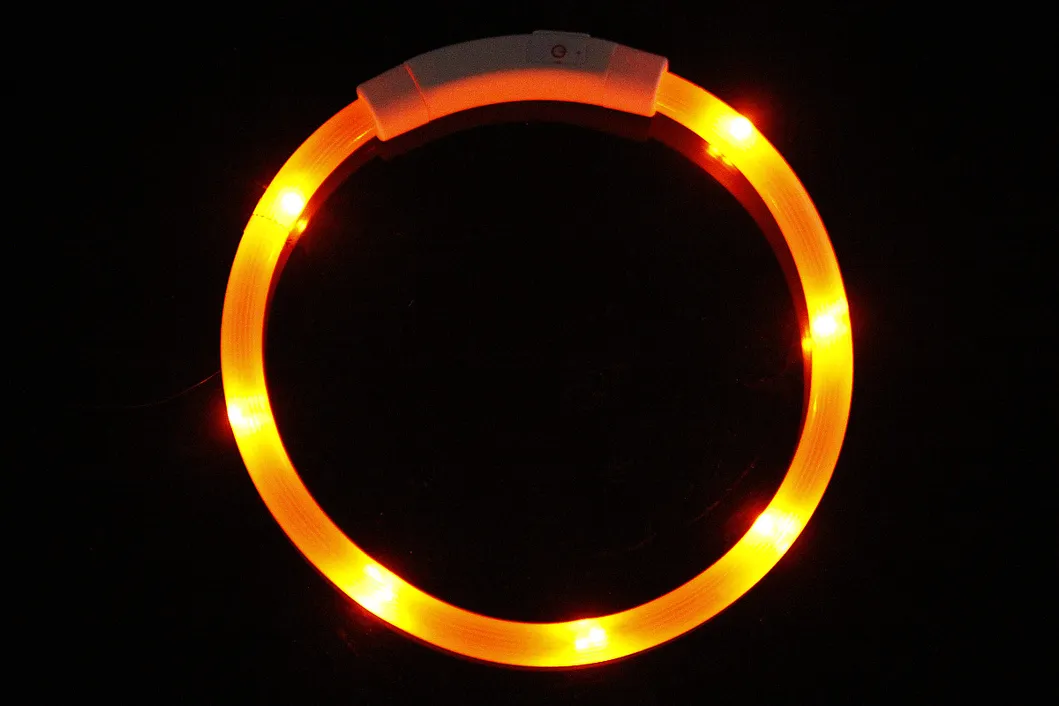 LED Luminous Collar 3