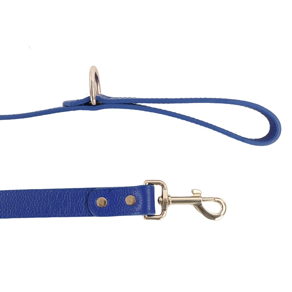 Luxury Dog Collar Detail 4