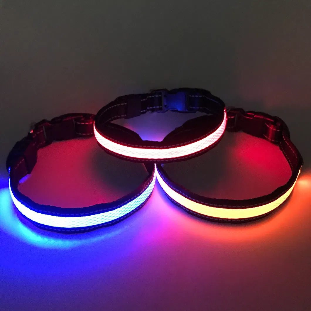 Dog Collar Night View