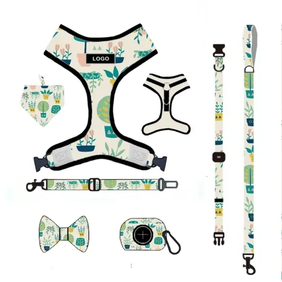 Harness Print