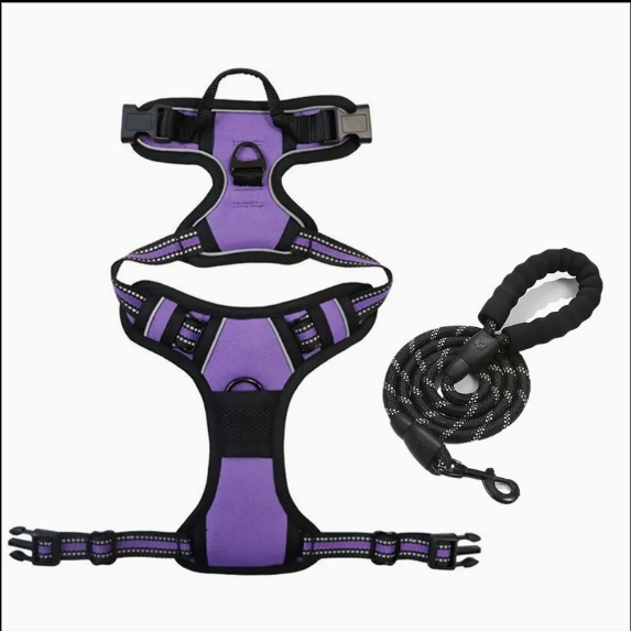 Reflective Straps Pet Harness and Leash Set for Large Dogs