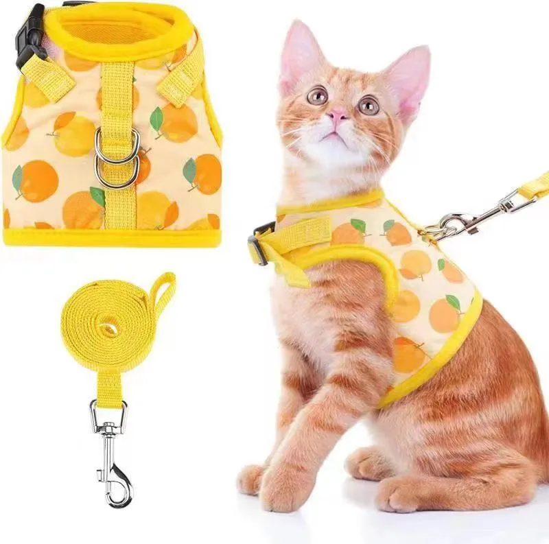 Pet Carrier Bag