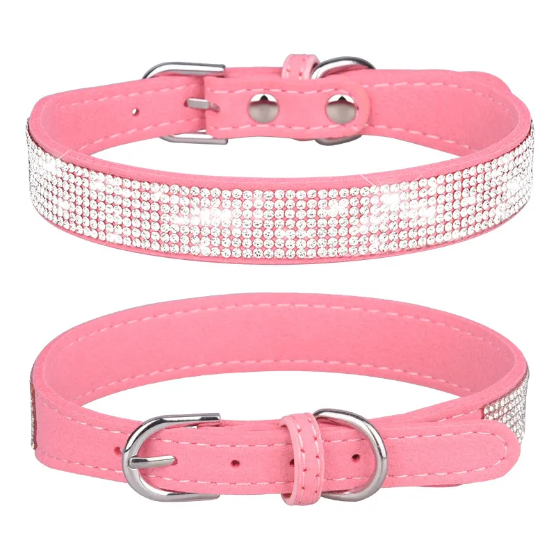 Dog Collar Detail