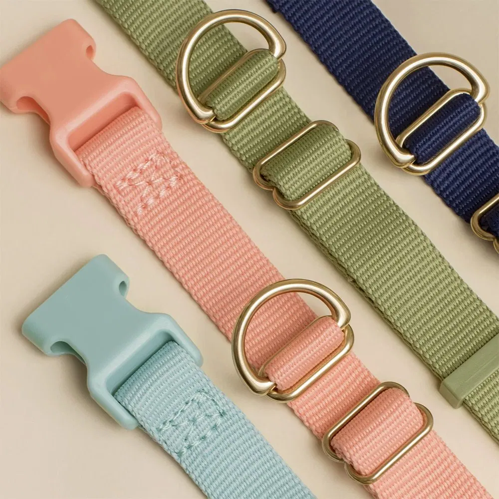 Hot Selling Premium Adjustable Stylish Durable Nylon Pet Collar Strong Safety Locking Buckles for Any Size Breed
